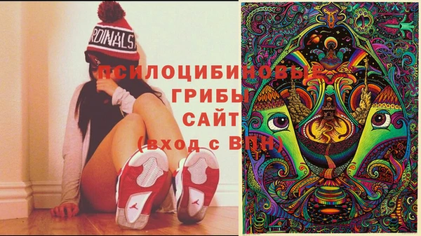 ешки Богданович