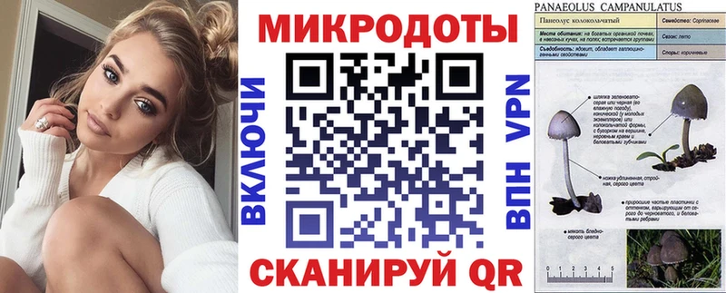 Купить закладки  Балей  Галлюциногенные грибы прущие грибы 