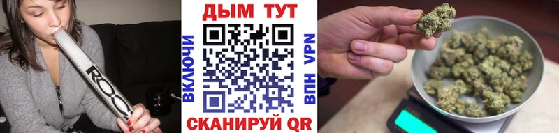 Купить Балей Бошки Шишки гибрид